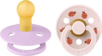 BIBS Studio Colour Ladybug Schnuller 2er-Pack Latex Größe 1, Violet Sk...